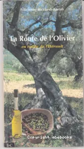 La route de l'olivier