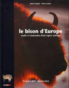 Le bison d'europe