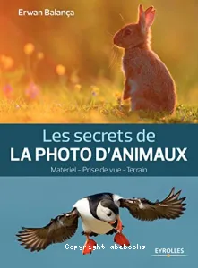 Les secrets de la photo d'animaux