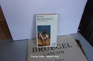 L'Ingénieux hidalgo Don Quichotte de la Manche (T1)